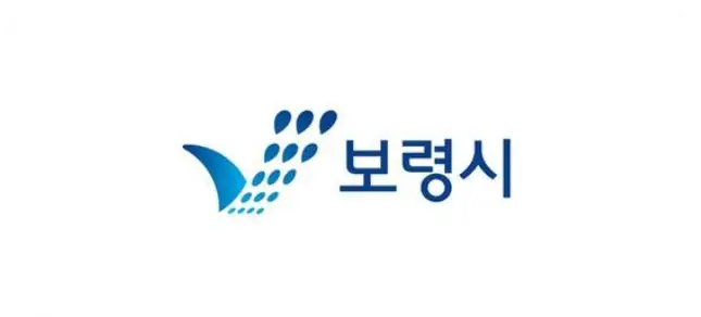 Boryeong Logo